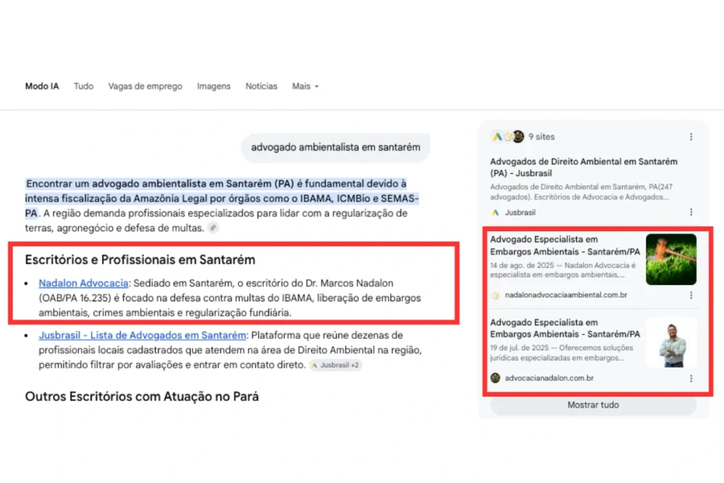 Advogado Ambientalista em Santarém em destaque na IA do Google